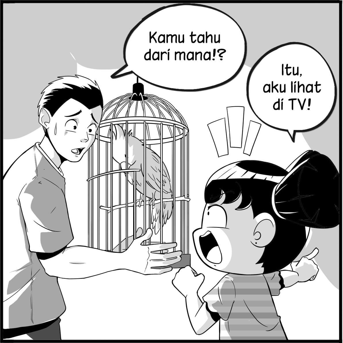 Cendrawasih2