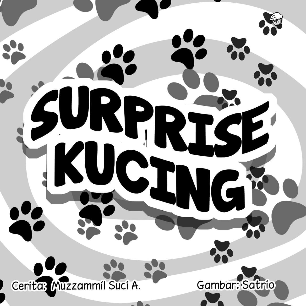 surprise kucing cover bw