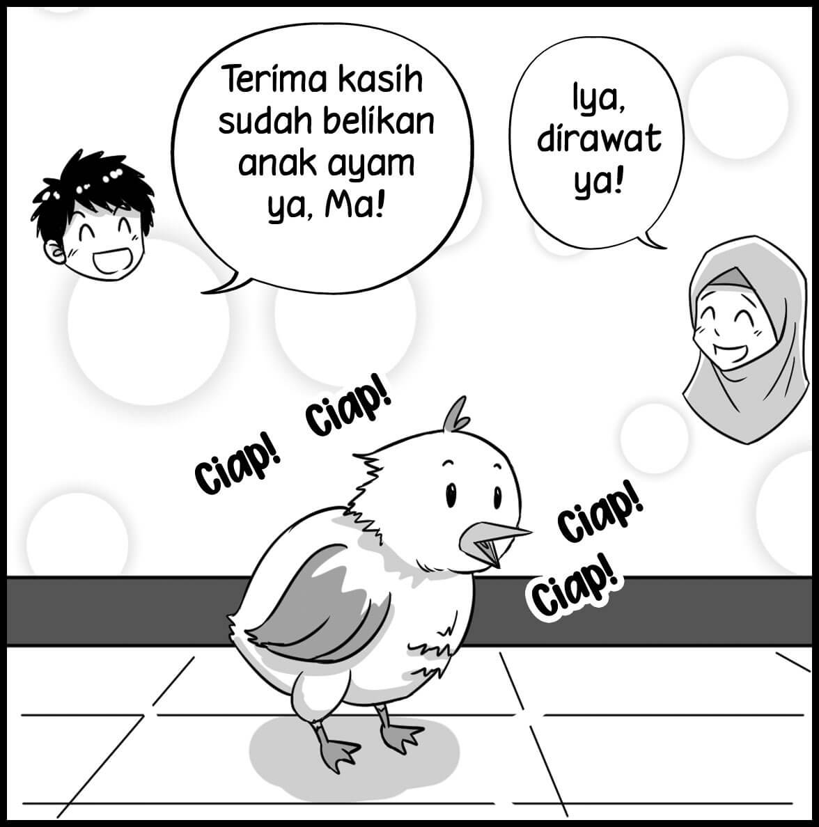 anak ayam1