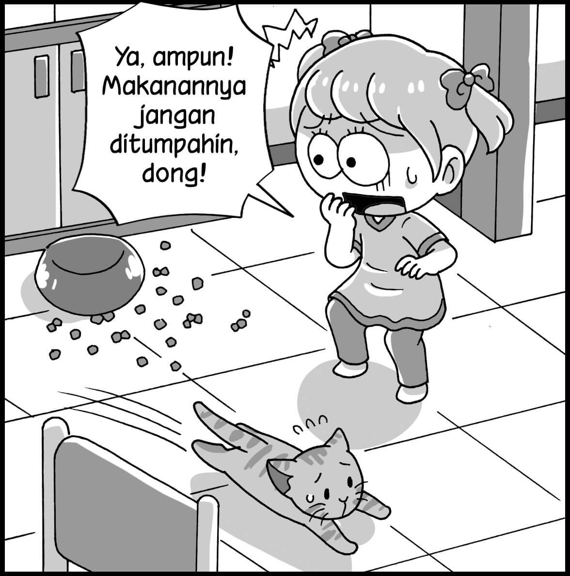 pertama kali punya kucing3