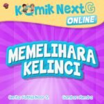 Memelihara Kelinci cover