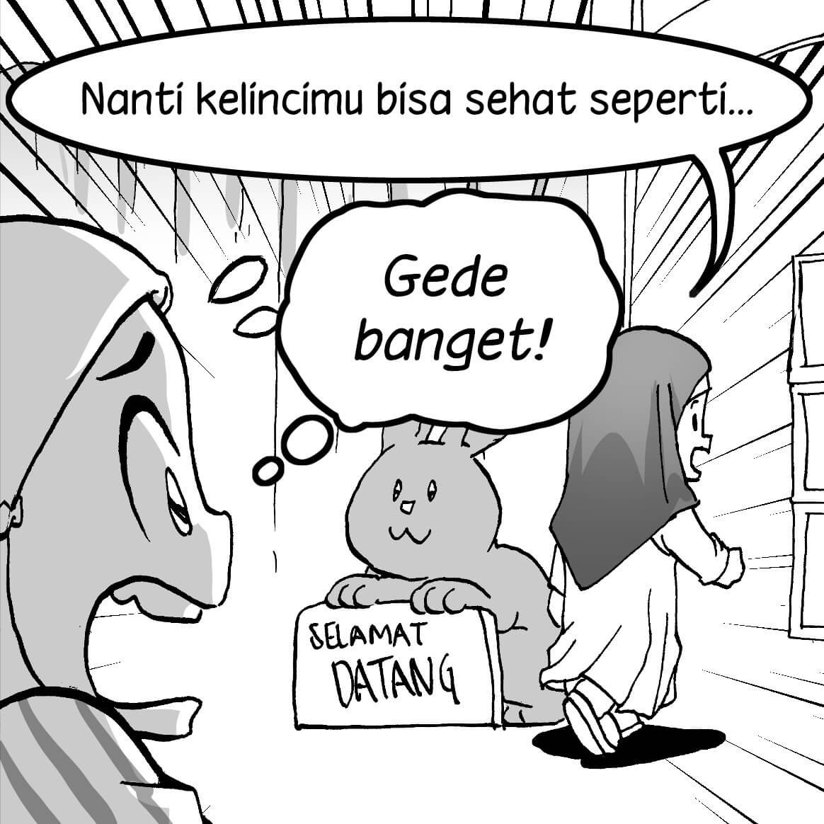 Memelihara Kelinci3