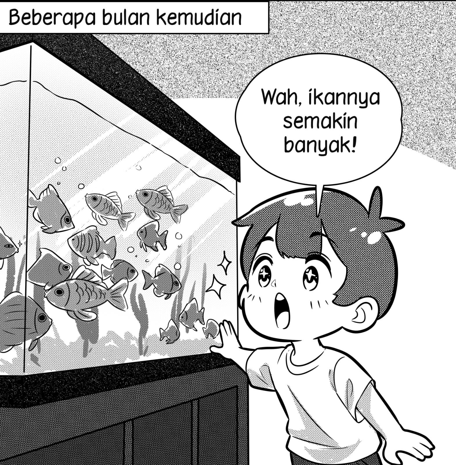 Ikan Peliharaan3